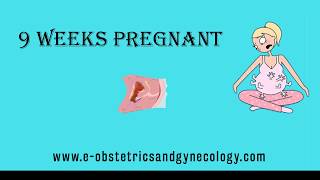 9 Weeks Pregnant  Pregnancy Symptoms Development Ultrasound Belly and Baby [upl. by Anesuza]