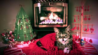 Lil BUBs Very Cozy Yule Log Video 2018 [upl. by Enyale366]