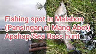 Fishing spot in Malabon Pansingan ni Mang AbetApahapSeaBass hunt seabass barramundi fishing [upl. by Stanway]