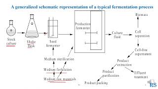 103 Development of Fermentation Industry Aerobic Anaerobic Fermentation Glycolysis [upl. by Eidroj162]