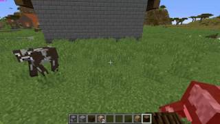 Is A Raspberry Pi Minecraft Server Practical [upl. by Nyrol281]