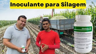 SiloSolve® MC Inoculante para Silagem [upl. by Irish528]