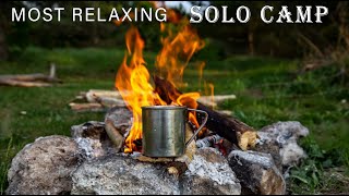 Coziest Sun CAMPING in a Pine Forest  SOLO Relaxing camp in a nature  ASMR Catch and Cook [upl. by Labinnah]