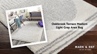 Oakbrook Terrace Modern Light Gray Area Rug [upl. by Breskin]