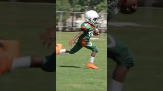 Game winning touchdown 7U Toulminville Rattlers youthfootball mobilealabama 7ufootball [upl. by Aney]