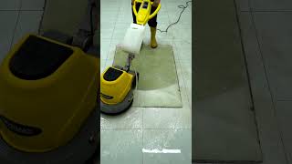 Like New Again Carpet Cleaning Magic [upl. by Maddi361]