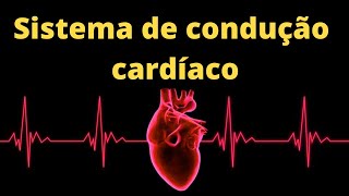 Sistema de condução cardíaco – Fisiologia Humana [upl. by Monica]