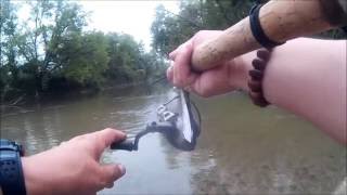 Fishing the Nottawasaga River [upl. by Lihka]