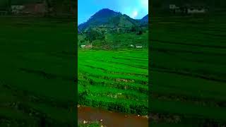 tyo man Runcha Runna khai Nepali superhit lokdohari song short video viralshort shorts love fyp [upl. by Nosro214]