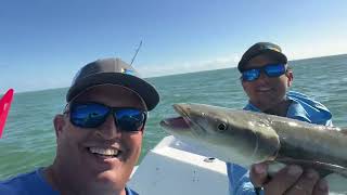 Inshore Fishing Biscayne Bay [upl. by Atsed]