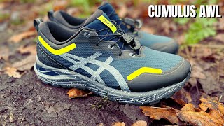 Asics Gel Cumulus 23 AWL Review  Best Winter Running Shoe [upl. by Gnilrets124]