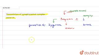 Dissoolution of synaptonemal complex occur in [upl. by Ayirp]