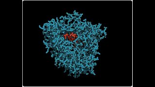 What is the Hepatic Microsomal Enzyme System [upl. by Doughty]