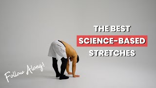 13 Min EvidenceBased Full Body Stretch for Flexibility amp Mobility [upl. by Alexio986]