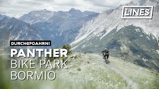 Panther  Bike Park Bormio  LINES [upl. by Drusus]