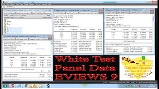 White Test Panel Data EVIEWS 9 [upl. by Aline190]