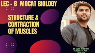 LEC8 MDCAT BIO STRUCTURE AND CONTRACTION OF MUSCLES [upl. by Granthem630]