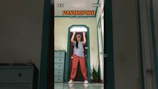 PANTROPIKO slowed Dance Tutorial TikTok dance [upl. by Esyahc857]