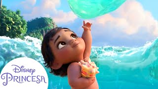 Pequena Moana conhece o oceano  Disney Princesa [upl. by Redep]