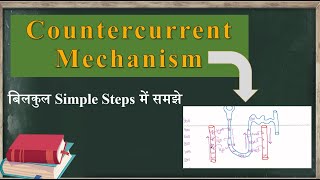 Countercurrent Mechanism Complete concept [upl. by Remy]