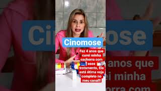 Tratamento completo para cinomose todos os medicamentos veja completo no meu canal não desista [upl. by Snowber]