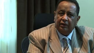 Sudan ruling party quotsatisfiedquot with election turnout [upl. by Anauqal914]