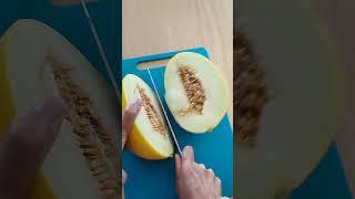 Slicing Honeydew Melon satisfying healthy nature food shorts [upl. by Avlem127]