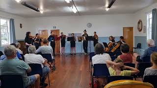 Mendelssohn Octet 1st Movement [upl. by Foscalina601]