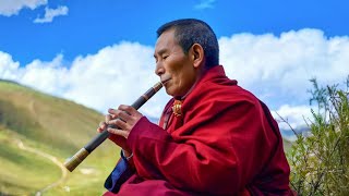 El Método De Curación De Los Tibetanos  Sonido De Flauta Tibetana Sanación Todo Daño Al Cuerpo [upl. by Gascony]