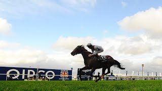 OLYMPIC GLORY wins the 2013 QE II Stakes Gr1 [upl. by Yrgoerg]