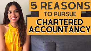 5 REASONS to become a CHARTERED ACCOUNTANT CA [upl. by Montford]