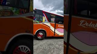 automobile travel bustours araniko superexpress himalai [upl. by Ihcur]