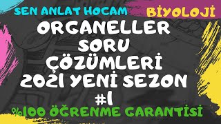 ORGANELLER SORU ÇÖZÜMLERİ  1   kesin anlayacaksın anlamazsan abone olma  2021✅ [upl. by Ennaus]