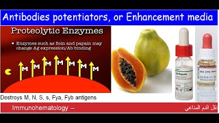 Lecture 115 Antibodies potentiators or Enhancement media [upl. by Mcgurn]