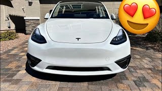 Tastey Aka My 2023 Tesla Model Y Is Fun To Drive Again With This Mod [upl. by Lledraw106]