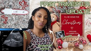 1st Trimester Pregnancy Update From Surprise to Vanishing Twin pregnancyjourney [upl. by Tlevesor]