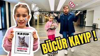 BÜCÜR AVM DE KAYBOLDU  HER YERDE ONU ARIYORUZ  ELİF SİNEM ÇOK ÜZGÜN [upl. by Buke540]