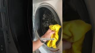 How To Clean A Front Load Washing Machine DIY Tips [upl. by Thaine]