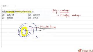 Polyembryony commonly occurs in [upl. by Perot680]