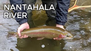 Catching My Personal Best Trout on the Nantahala River  Fly Fishing Western North Carolina [upl. by Danais]