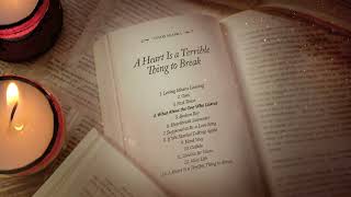 Anson Seabra  A Heart Is a Terrible Thing to Break Full Album Mix [upl. by Eldwen]