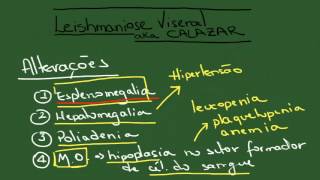 Leishmaniose Visceral Calazar  Resumo  Parasitologia [upl. by Oeak106]