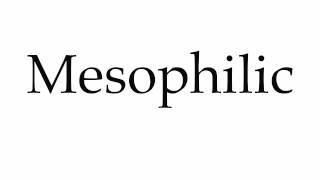 How to Pronounce Mesophilic [upl. by Lyrak]