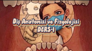 Diş Anatomisi ve Fizyolojisi Ders1  Terminoloji ve Giriş [upl. by Mercier490]