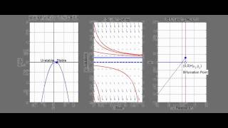 What is a Transcritical Bifurcation [upl. by Terrena]