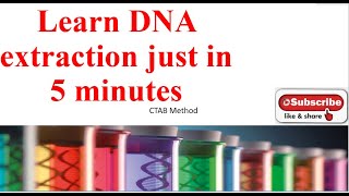 DNA extraction method from leaf CTAB method without liquid nitrogen [upl. by Nylia402]