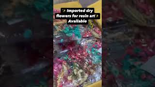 Dried Flowers Natural Plant Pressed Flower For Epoxy Resin Art Craft DIY Jewelry Making Crafts [upl. by Appolonia]