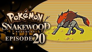 Pokémon Snakewood Nuzlocke w TheKingNappy  Ep 20 quotTHE FOUR HORSEMENquot [upl. by Yvan]