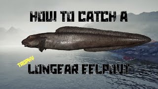 Russian Fishing 4  Norwegian Sea  How to catch a Longear Eelpout trophy [upl. by Anitrak]