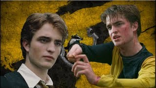 Why Was Cedric Diggory Sorted Into Hufflepuff [upl. by Ettesil]